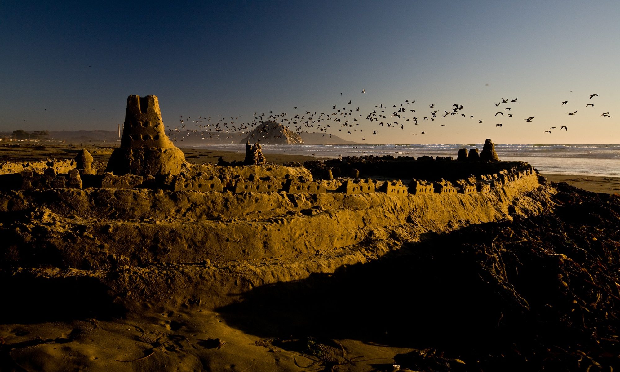 Sand Castles of the Platypus